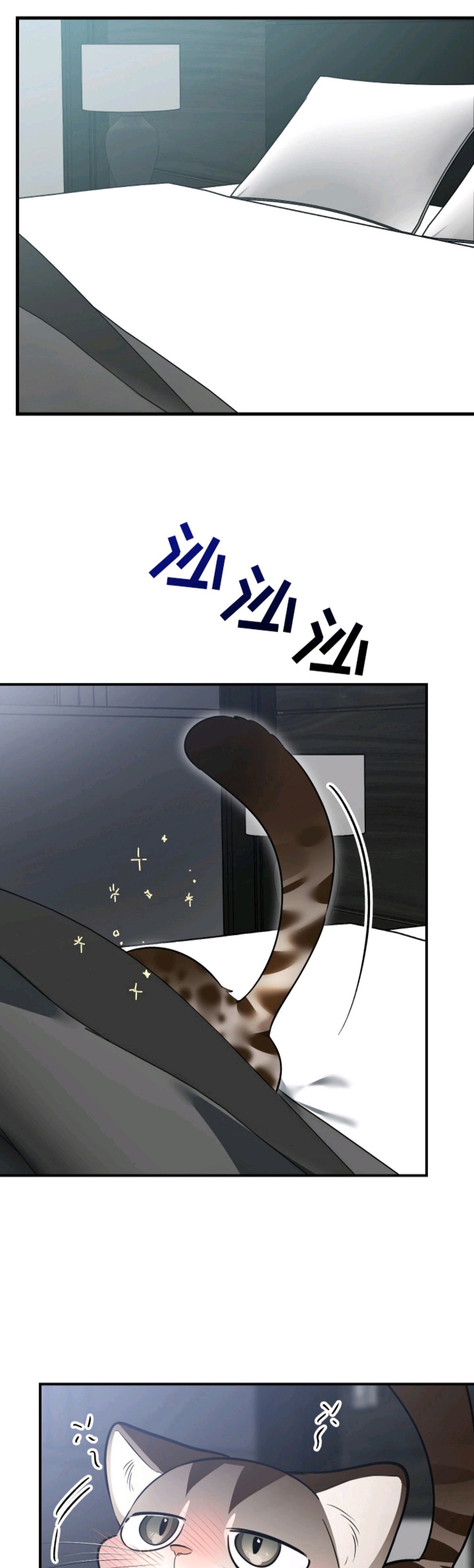 野猫的命定人类 - 挑选目标 - 第29页