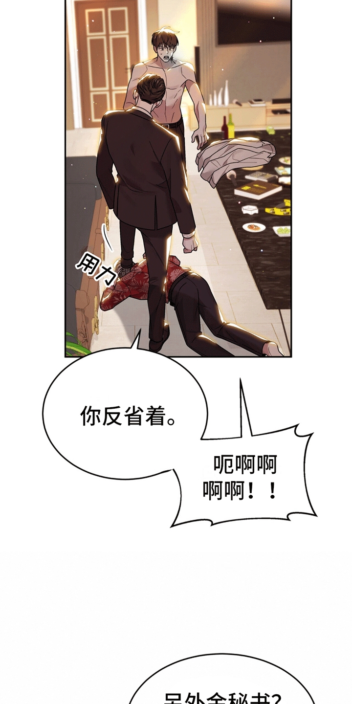 秘书生存日记 - 替他出气 - 第15页