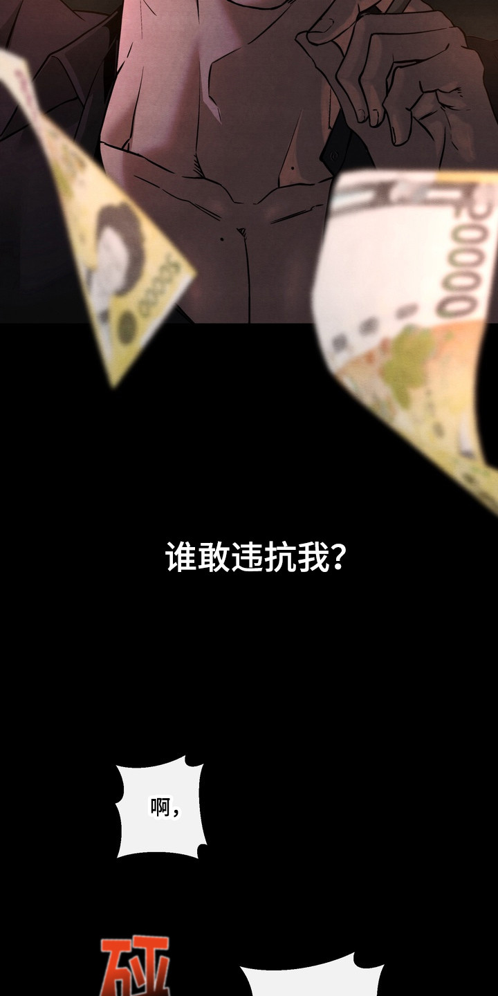 开发训狗 - 继承人 - 第8页