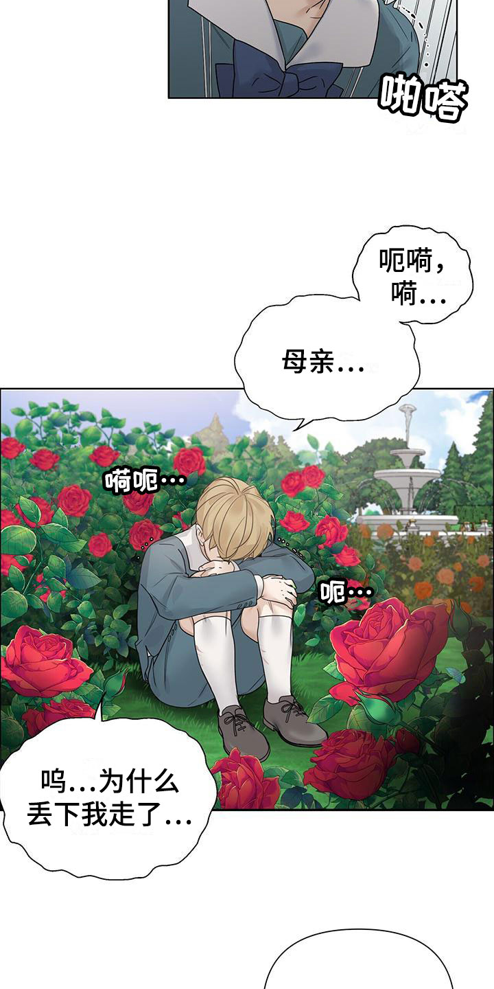 走进玫瑰园 - 比钱重要 - 第13页