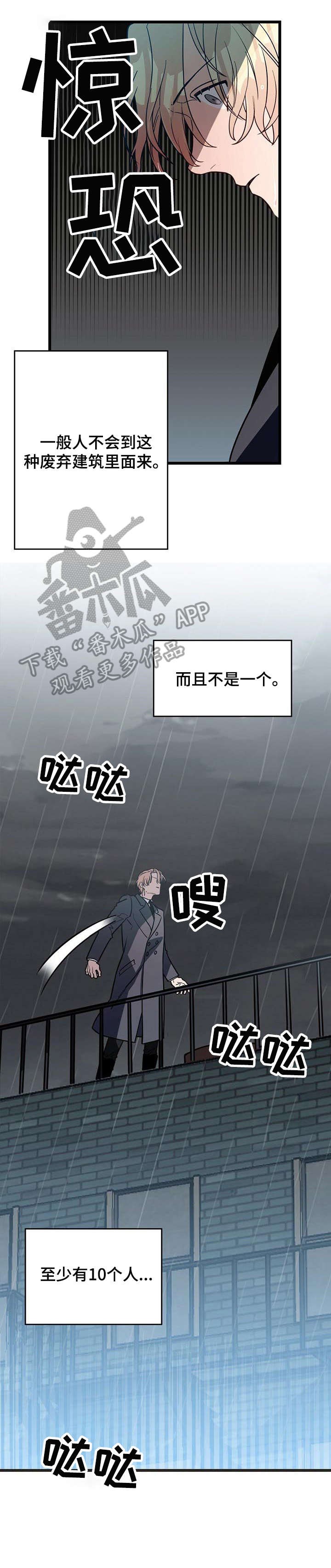 纽约危情 - 骑士团 - 第5页