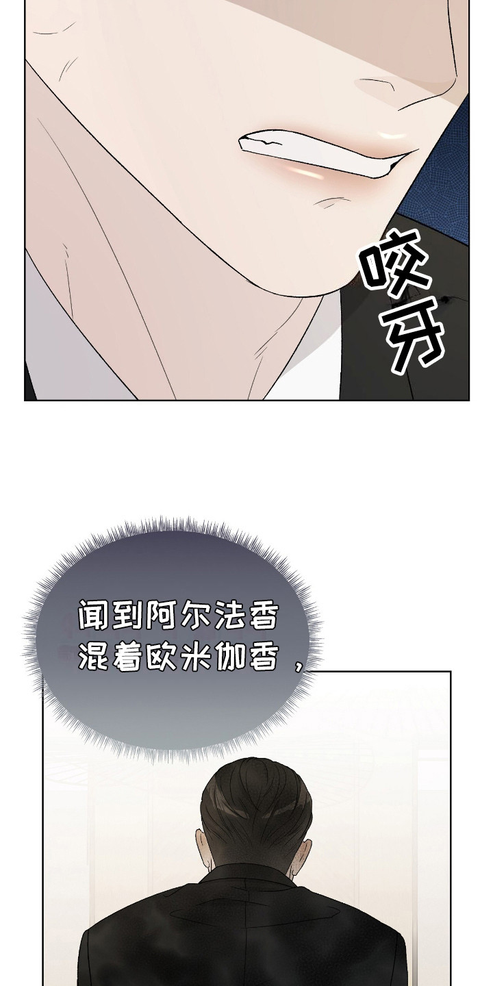爱犬宝贝 - 除臭剂 - 第11页