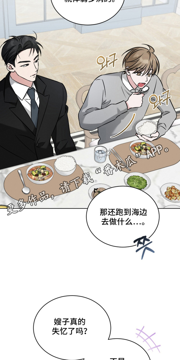 无香的花 - 真的失忆了吗 - 第21页