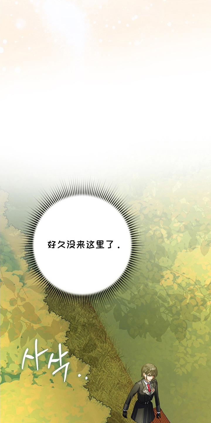 黑豹配偶超棘手 - 外界隔绝的迷宫 - 第9页