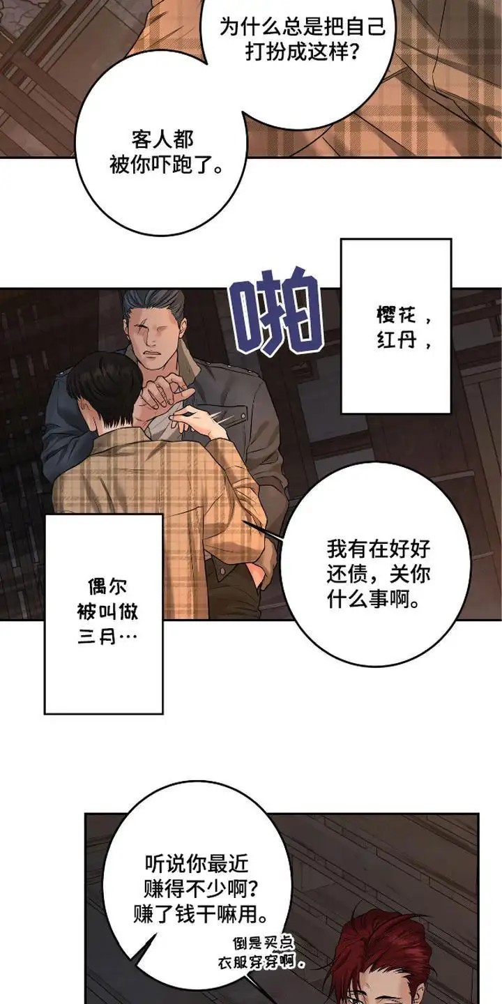 三月的樱花 - 称呼 - 第12页