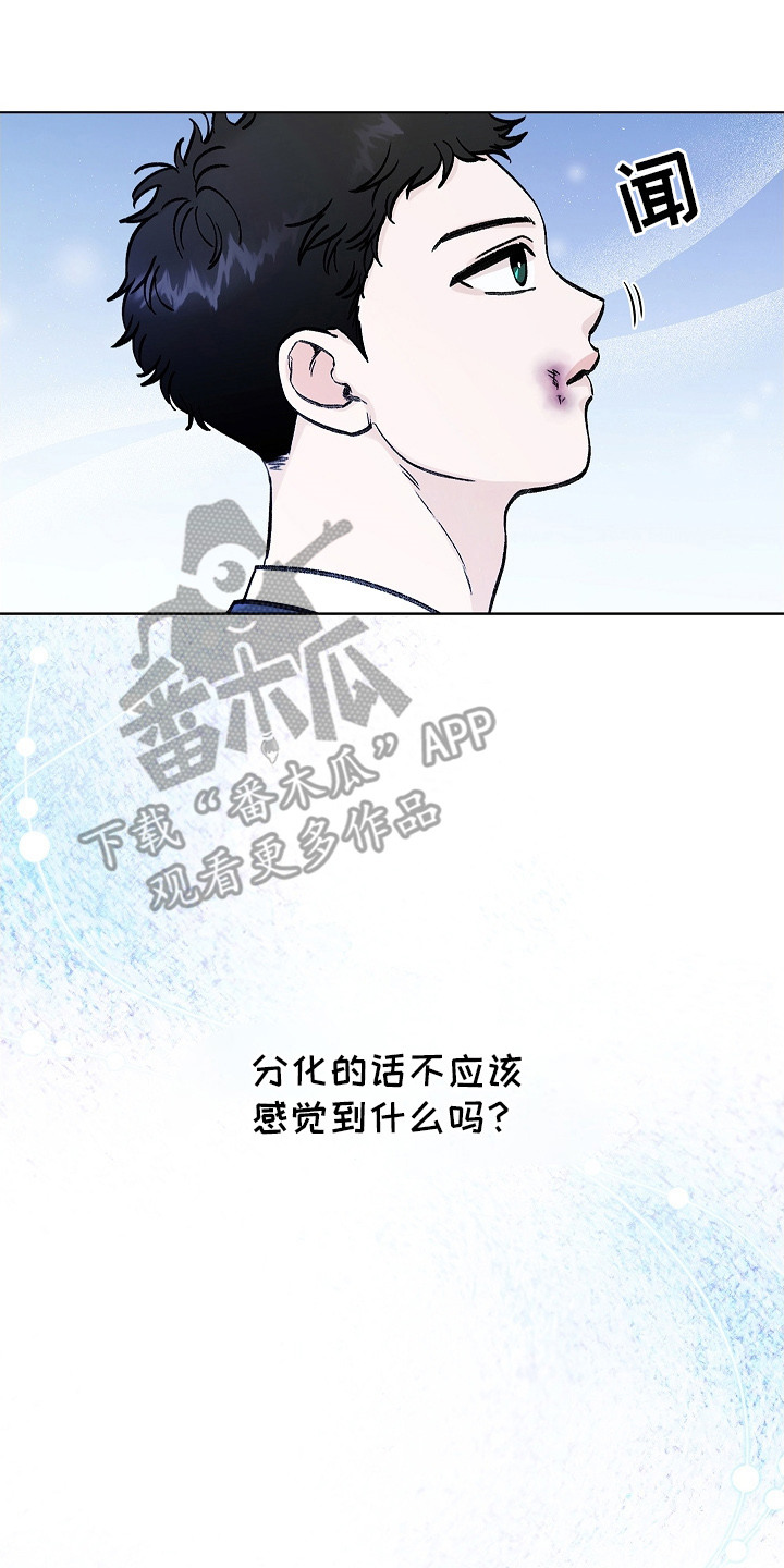 无感禁区 - 分化 - 第15页