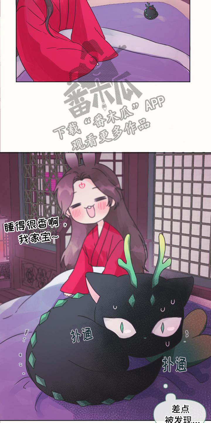 兔兔的小龙宝 - 差点发现 - 第19页