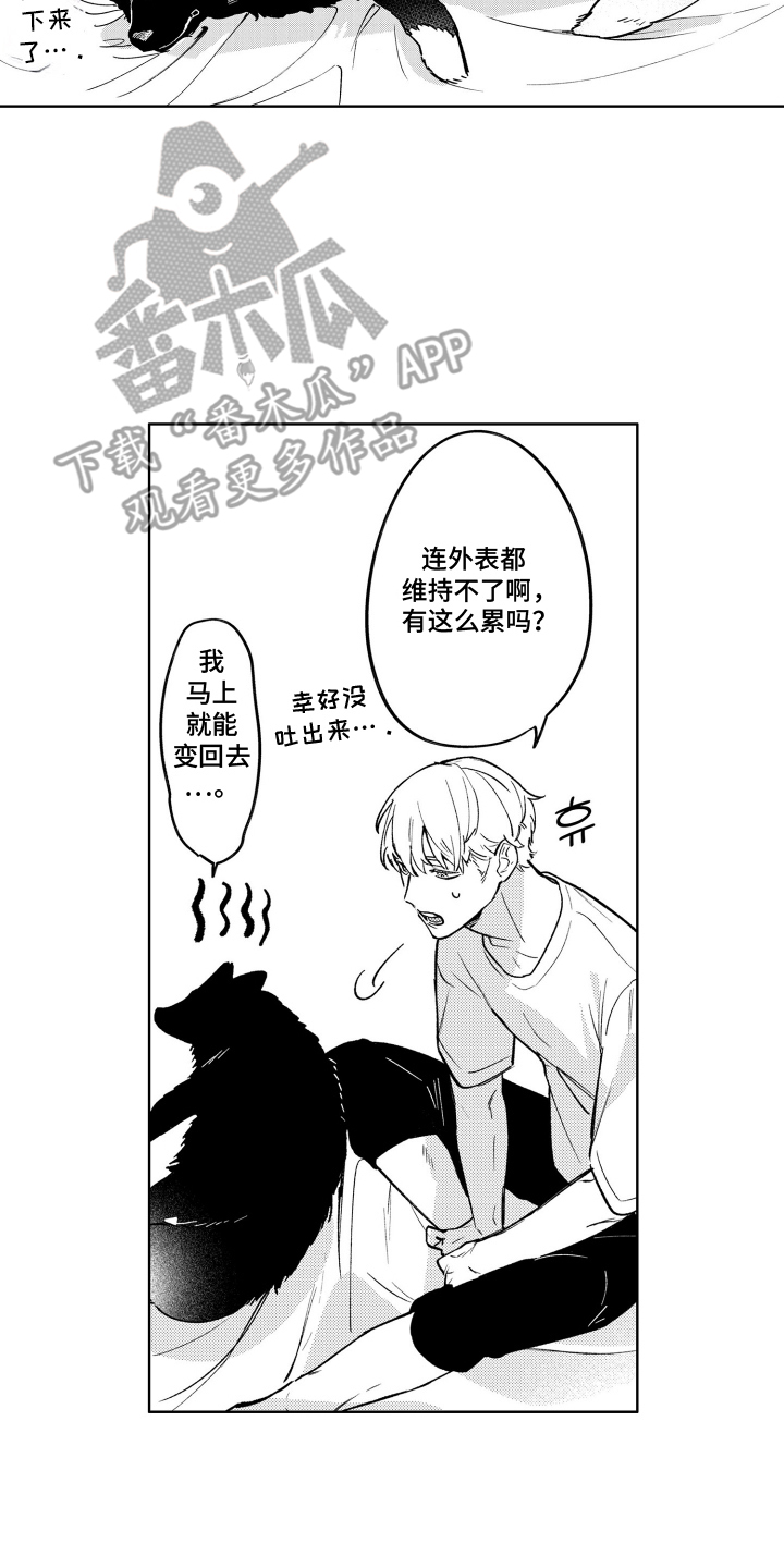 我家神明不正经 - 付丧神 - 第9页