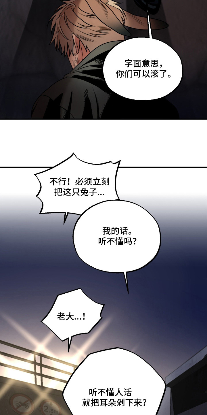 兔入狐窝 - 恩怨纠葛 - 第13页