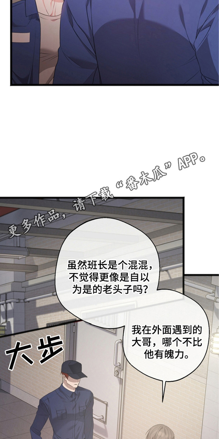 激痛 - 视线 - 第6页