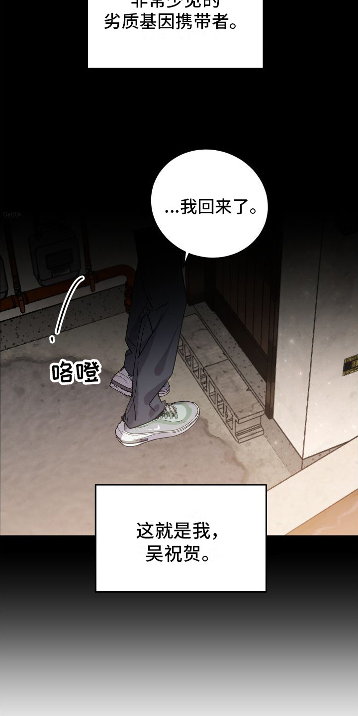 划过流星的宇宙 - 劣质基因 - 第17页