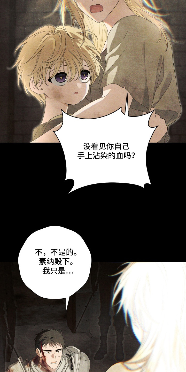 神堕之夜 - 骑士 - 第19页