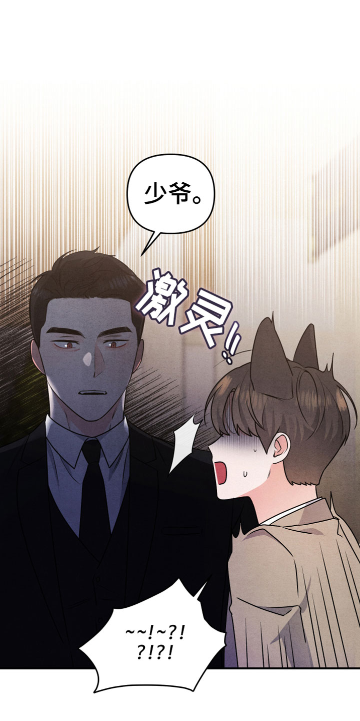 狗狗的恋爱 - 自爆 - 第17页