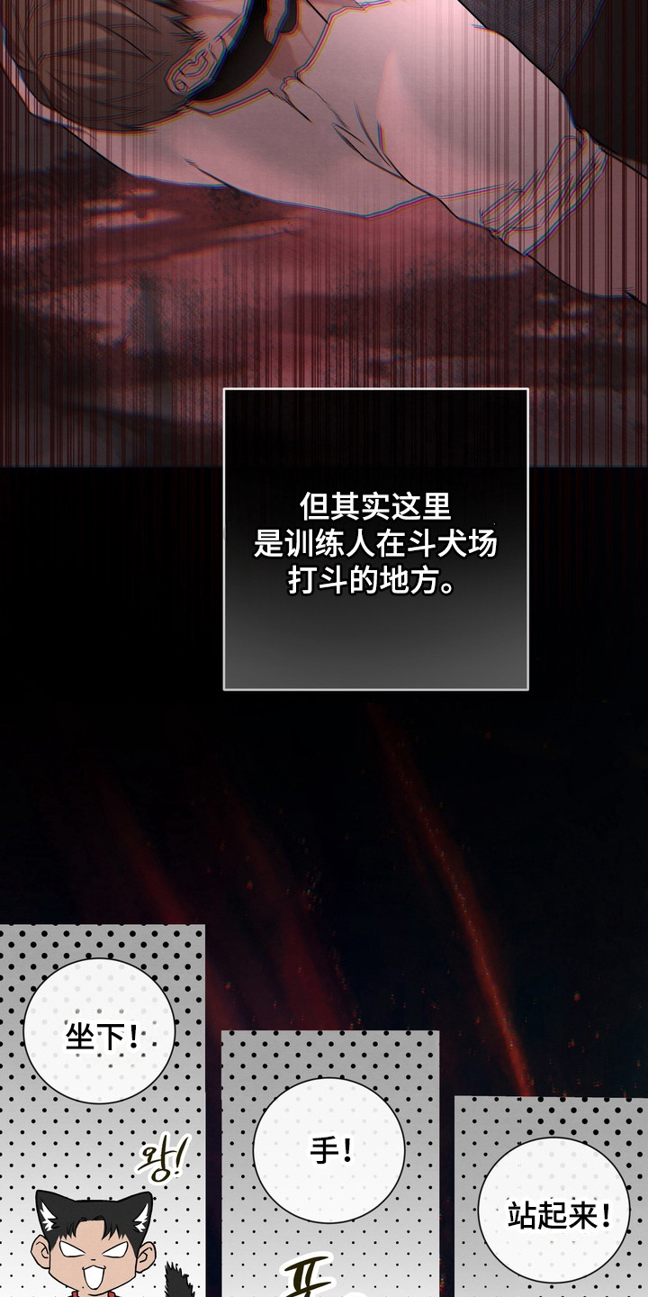 开发训狗 - 无法感知 - 第10页