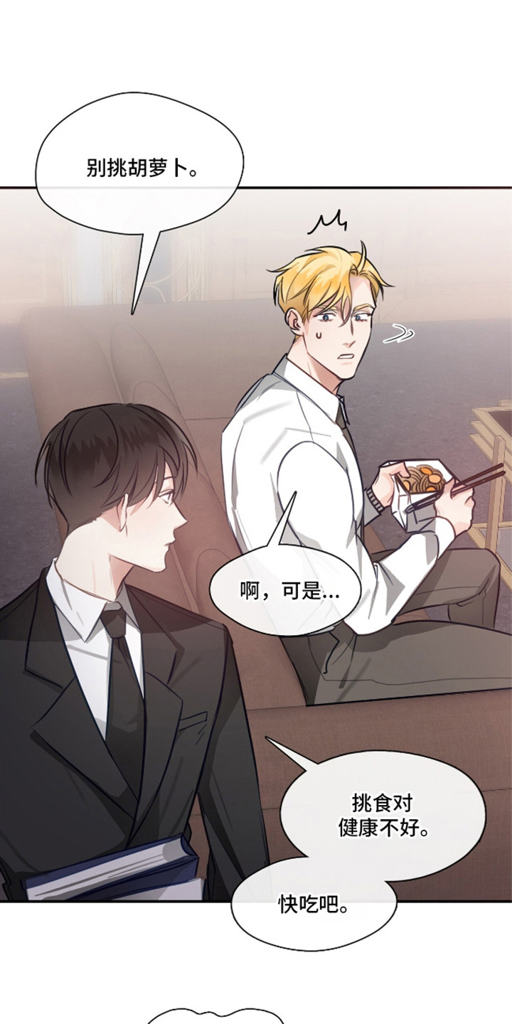 总裁的私人秘书 - 小毛病 - 第25页