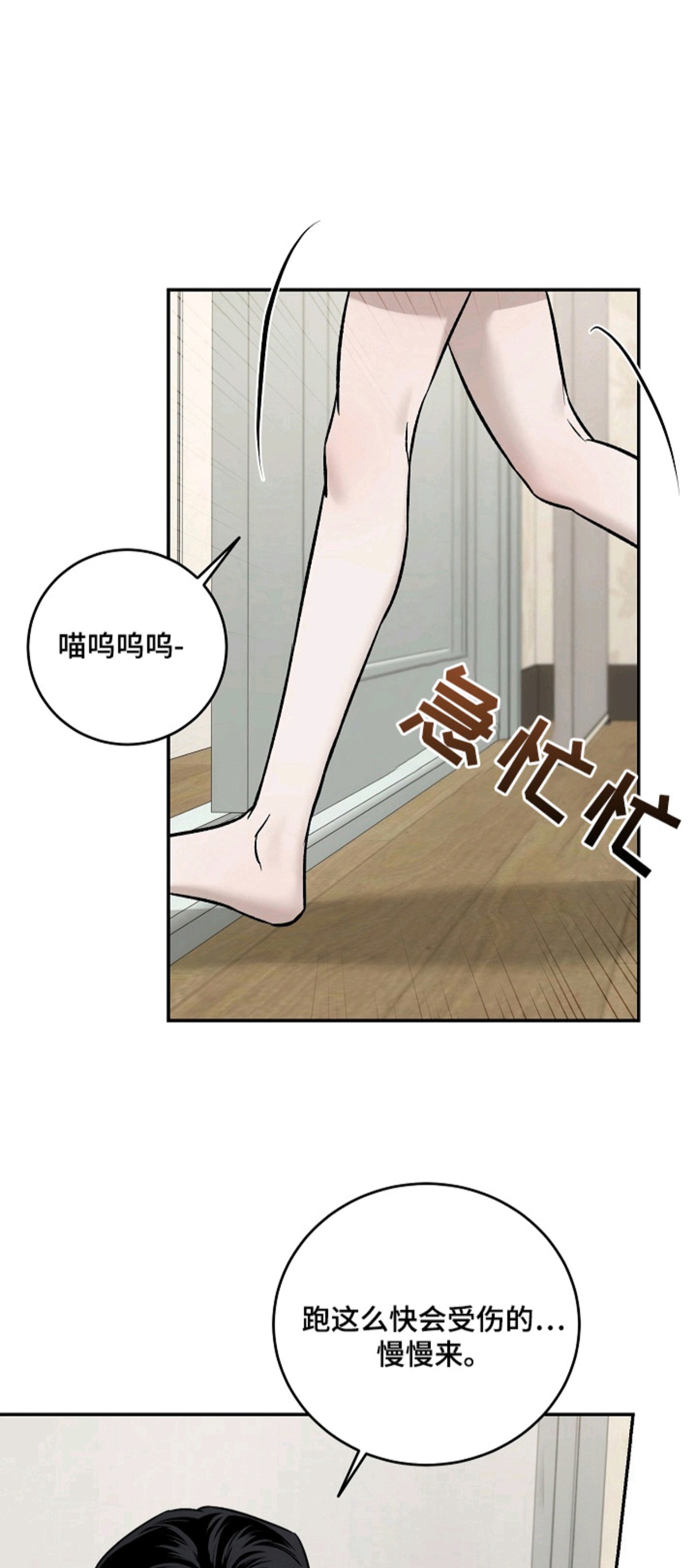 侵蚀猫咪日记 - 小猫玩具 - 第9页