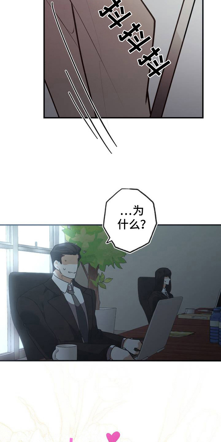 普雷 - 面试 - 第7页