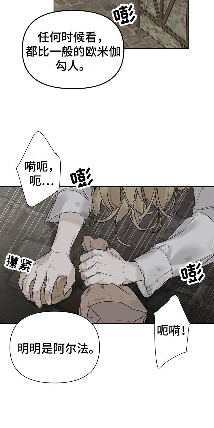 走进玫瑰园 - 底层 - 第5页