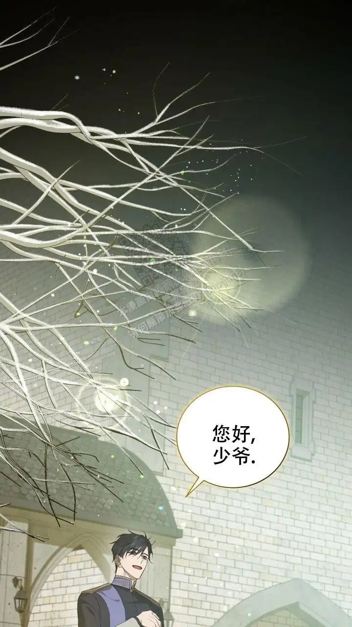 异世界骑士 - 真面目？ - 第25页