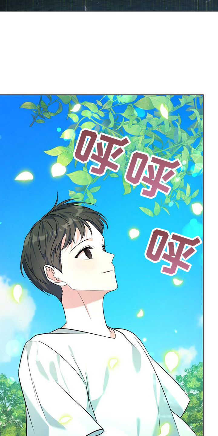 温柔的森林 - 初见 - 第5页