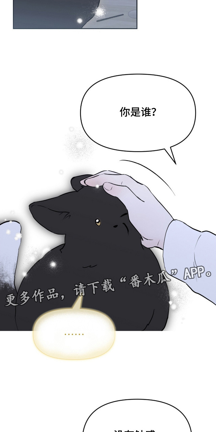 幽光潜行 - 领养 - 第6页