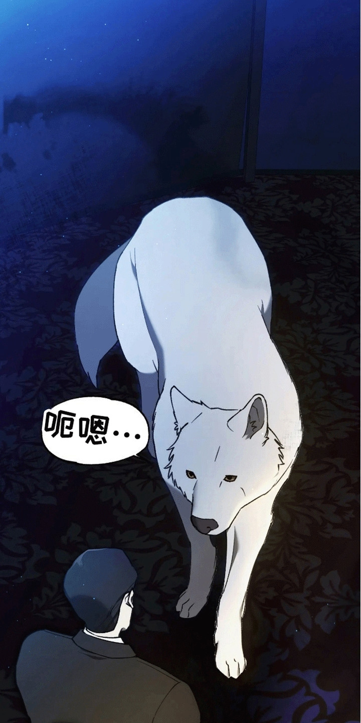 笼中白狼 - 客人 - 第31页