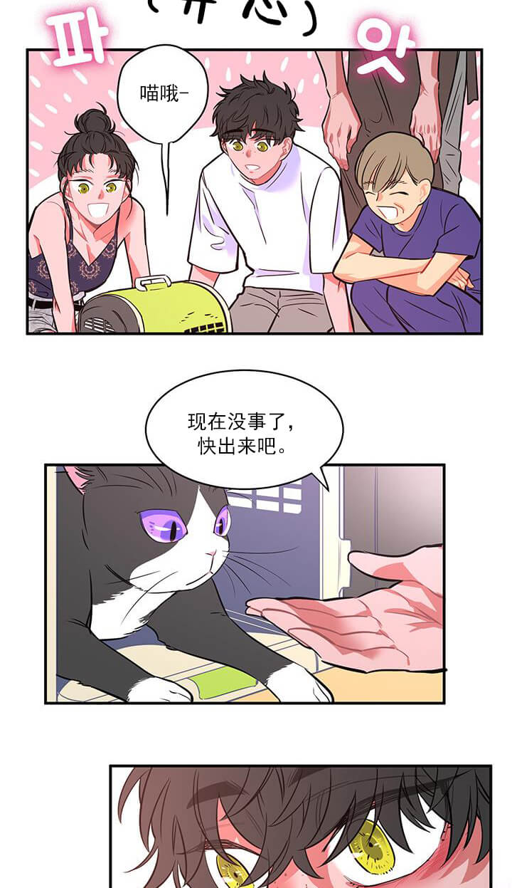 交错的海洋 -   - 第5页