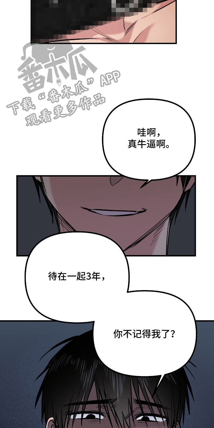 活体快递 - 特殊快递 - 第15页