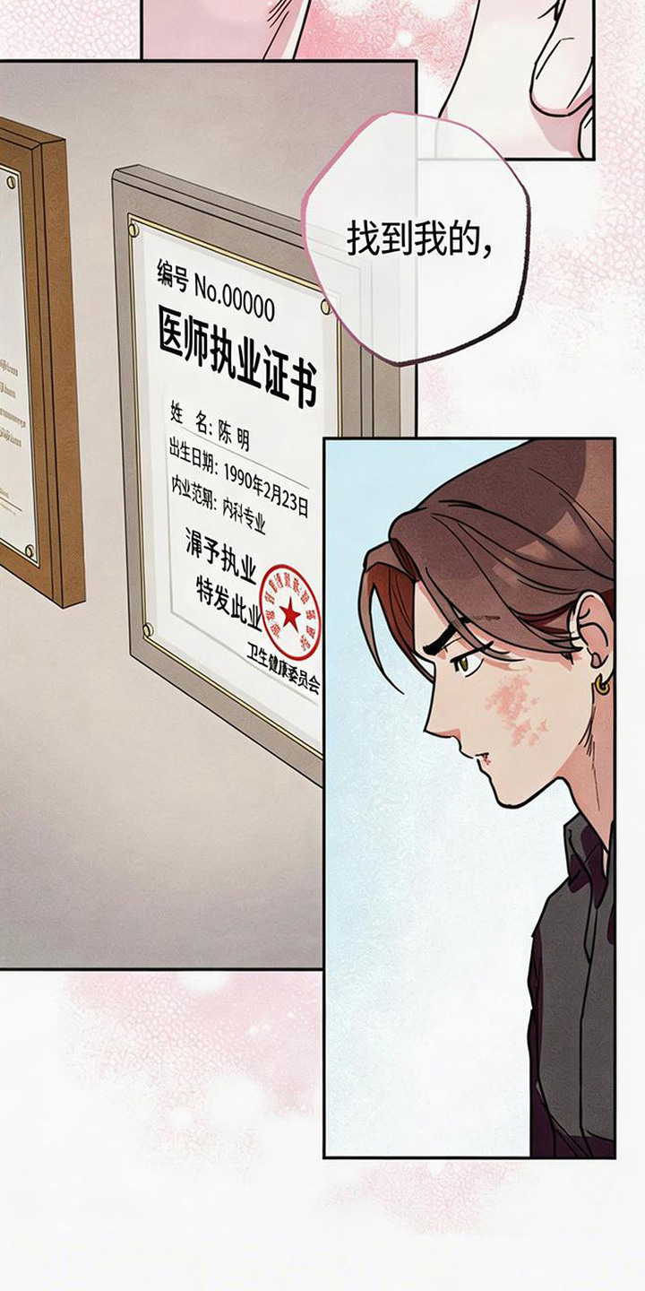 等你说喜欢 - 重逢 - 第14页