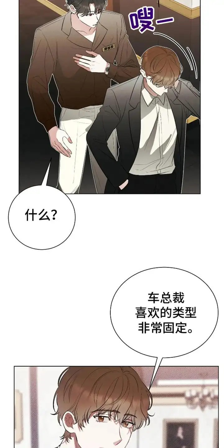 坏苹果替代品 - 喜欢的类型 - 第13页