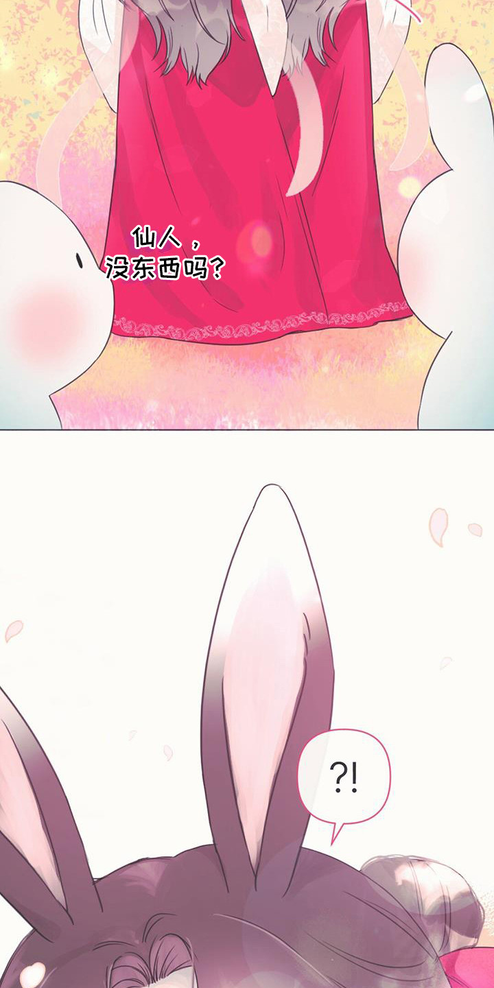 兔兔的小龙宝 - 幼龙 - 第7页
