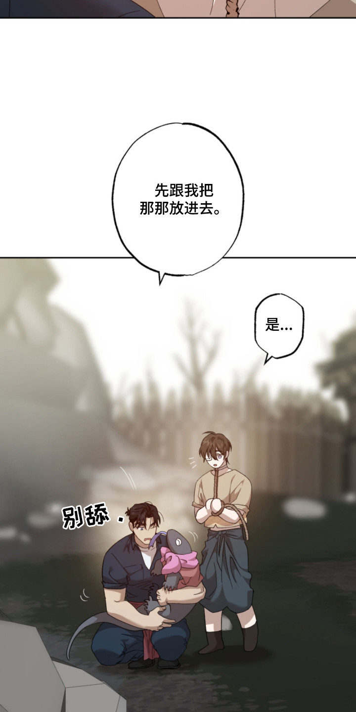 双生悲愿 - 病秧子 - 第11页