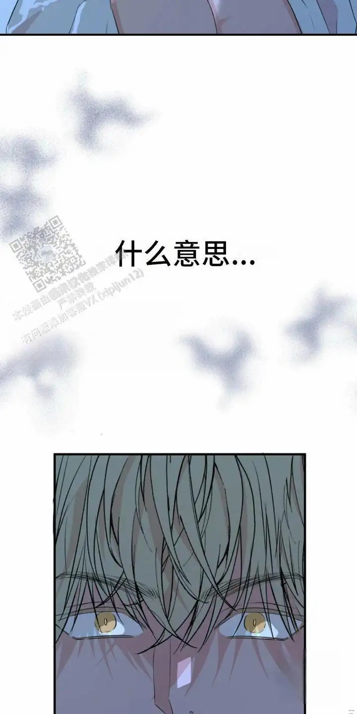 高墙之下 - 动弹不了 - 第7页