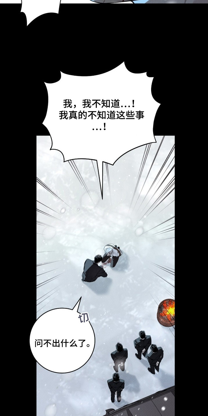 冬夜回响 - 逼问 - 第20页