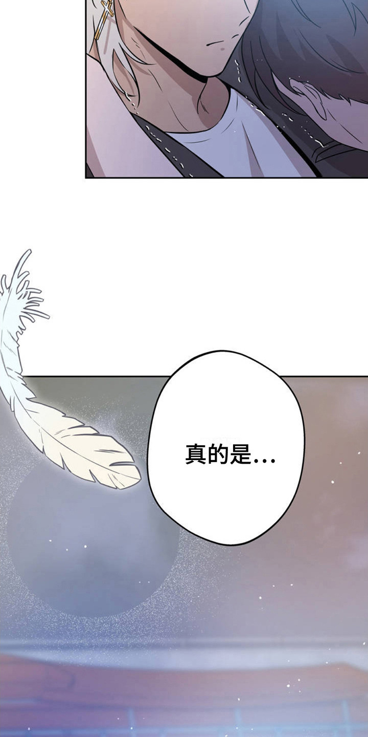 天使之吻 - 天使 - 第10页
