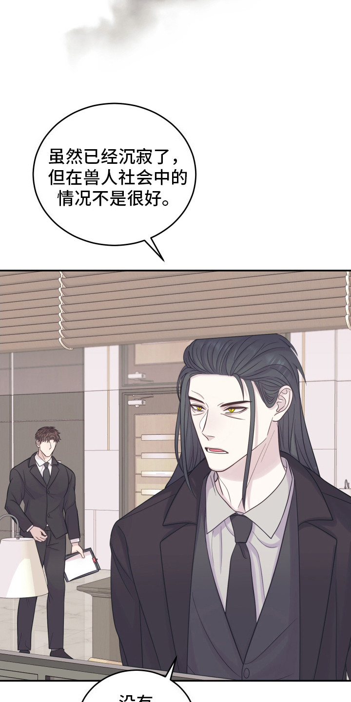兔子保镖 - 双头蛇 - 第11页