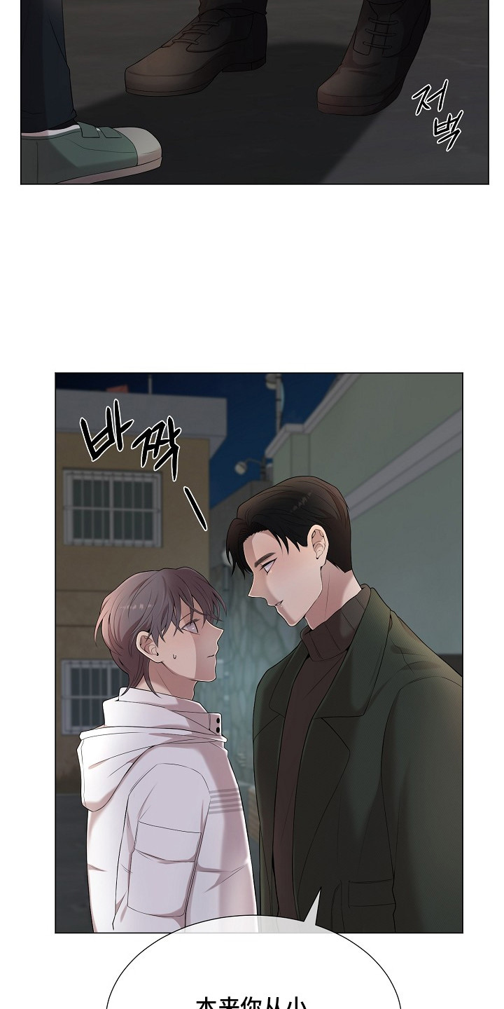 狼蛛 - 不放心 - 第20页