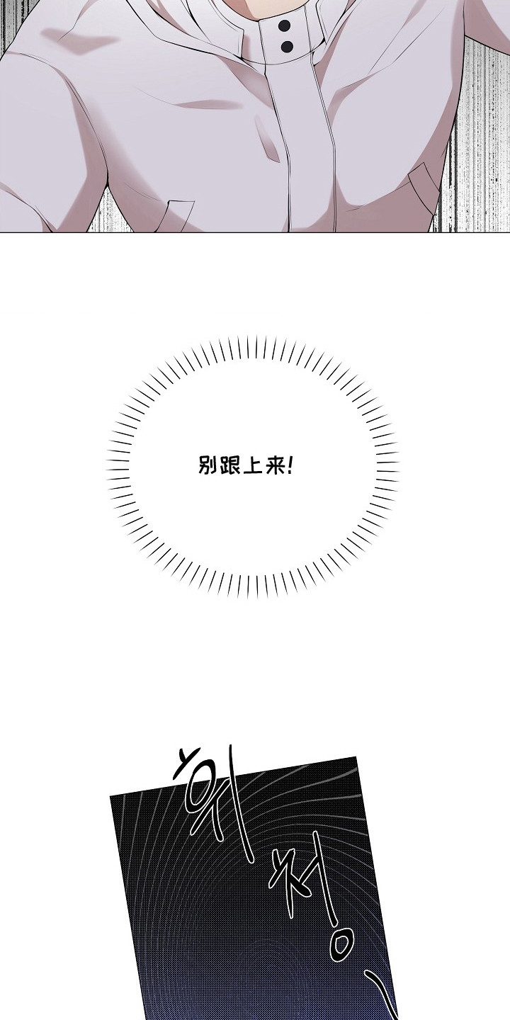 狼蛛 - 好久不见 - 第15页