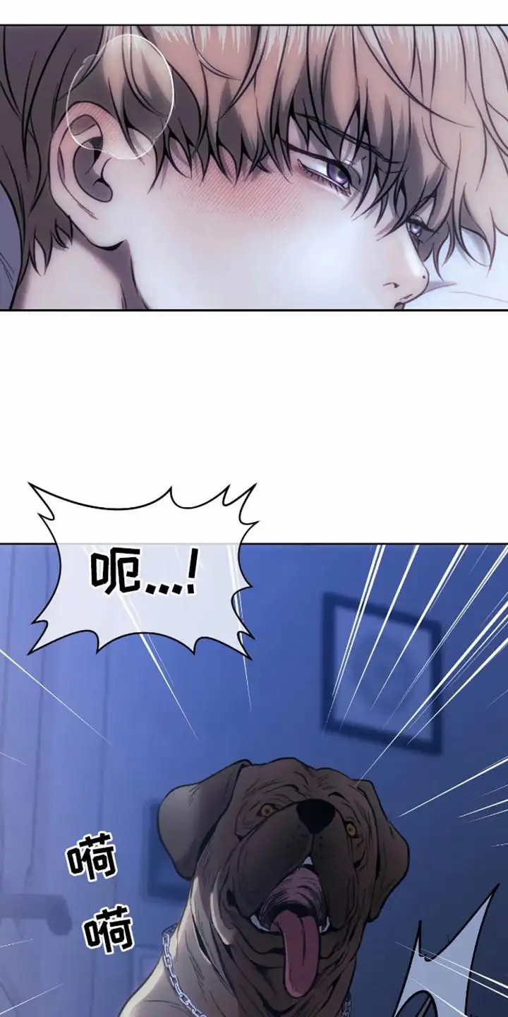 坏苹果狗笼 - 狗笼 - 第13页