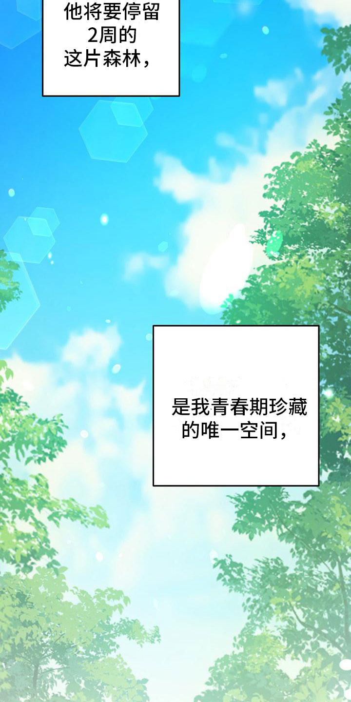 温柔的森林 - 初见 - 第24页