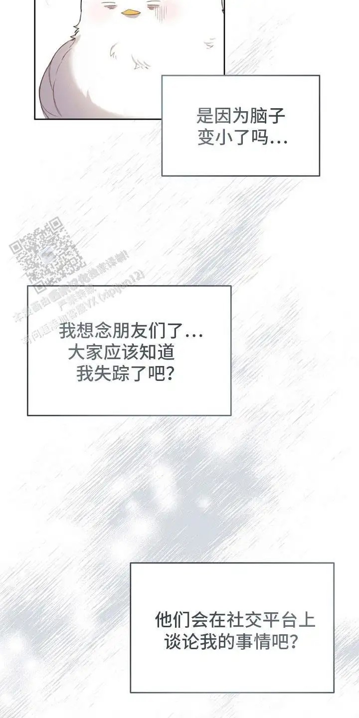 白鸟奇遇记 - 是真的 - 第8页