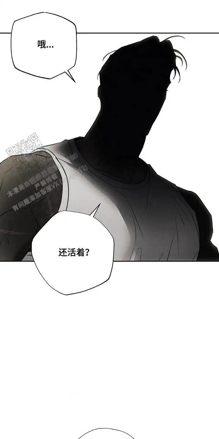 无息之行 - 他的名字 - 第11页