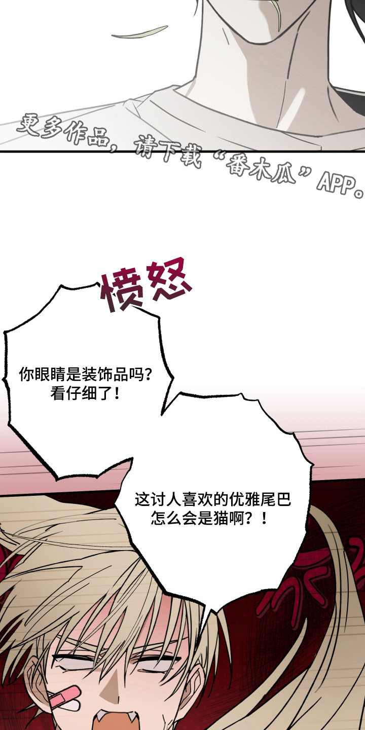 我的狐妖同事 - 重新介绍 - 第6页