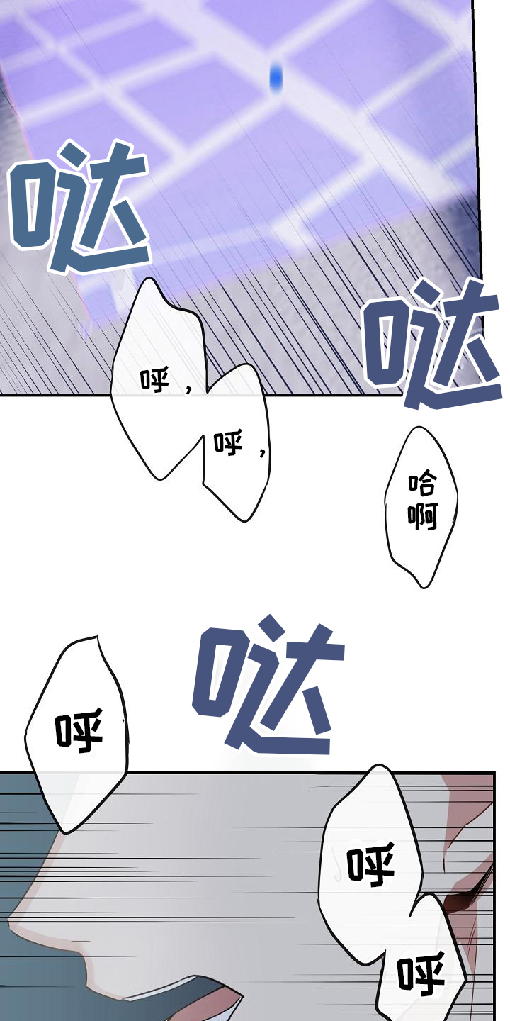 恋爱至上区域 - 奔跑 - 第19页