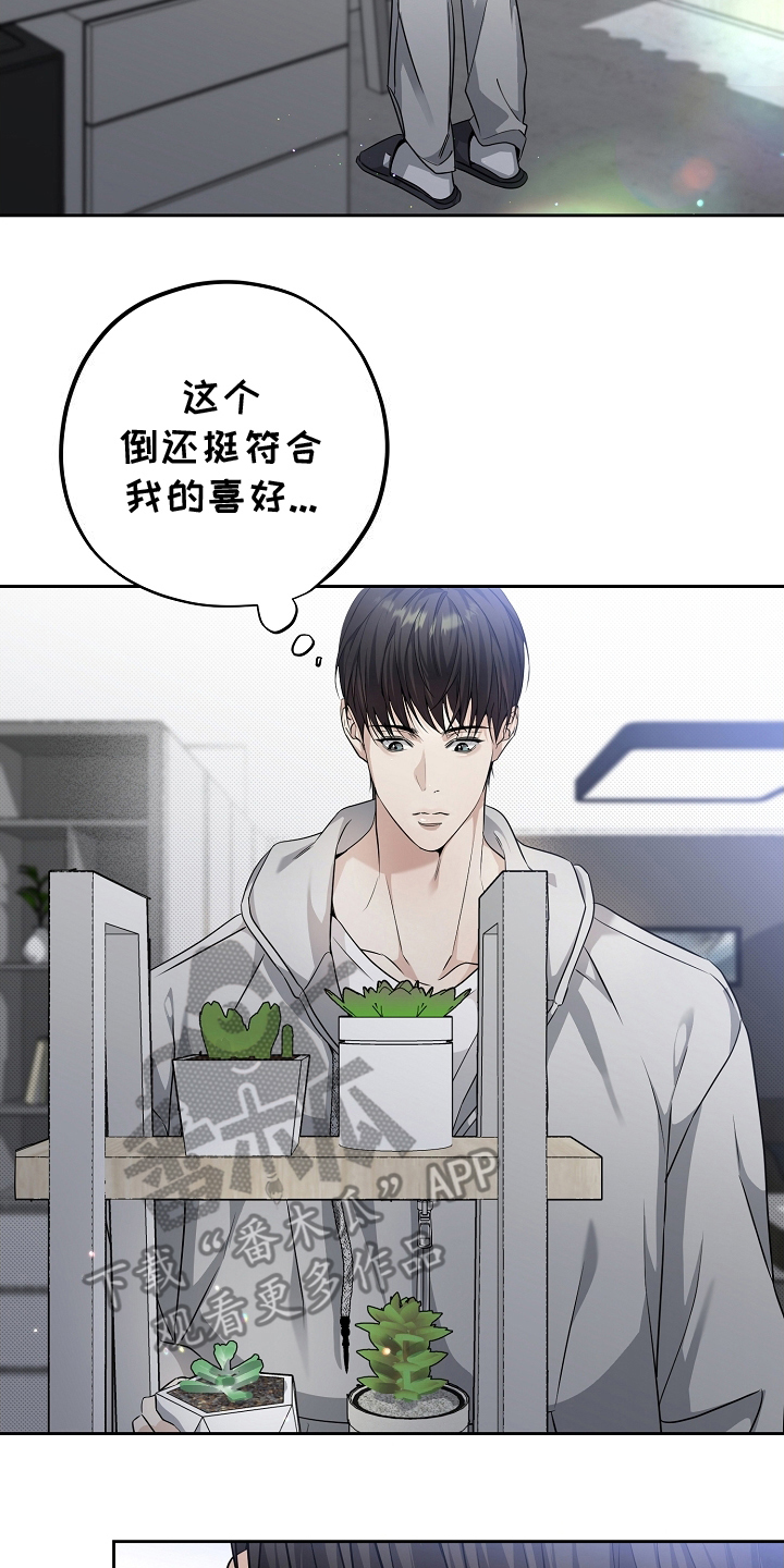 攻略枕边人 - 聊聊 - 第11页