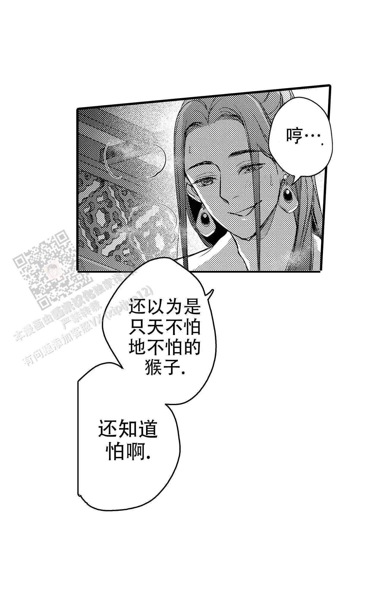 西行记 - 固执的猴子 - 第7页