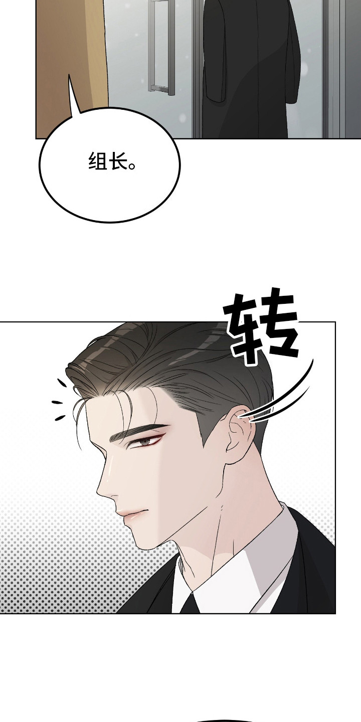 爱犬宝贝 - 除臭剂 - 第17页