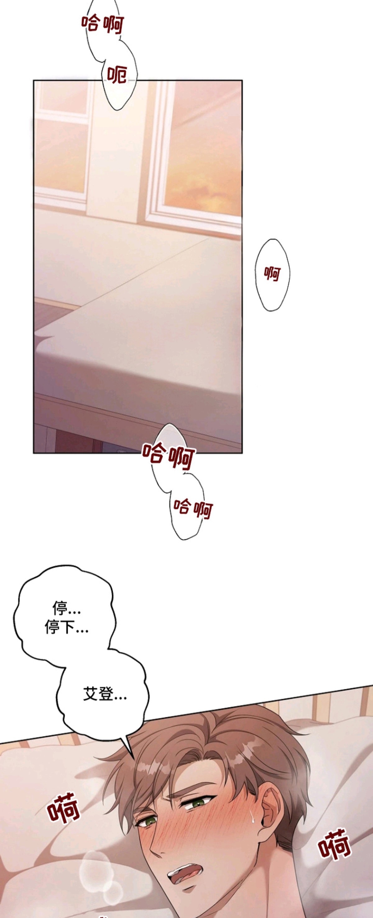 驯服游戏 - 条件 - 第13页