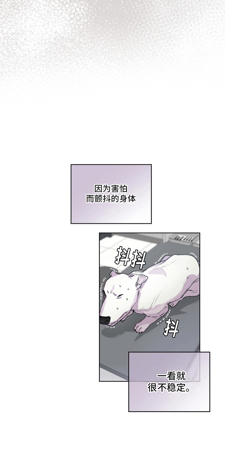 呼吸的记忆 - 斗犬 - 第15页