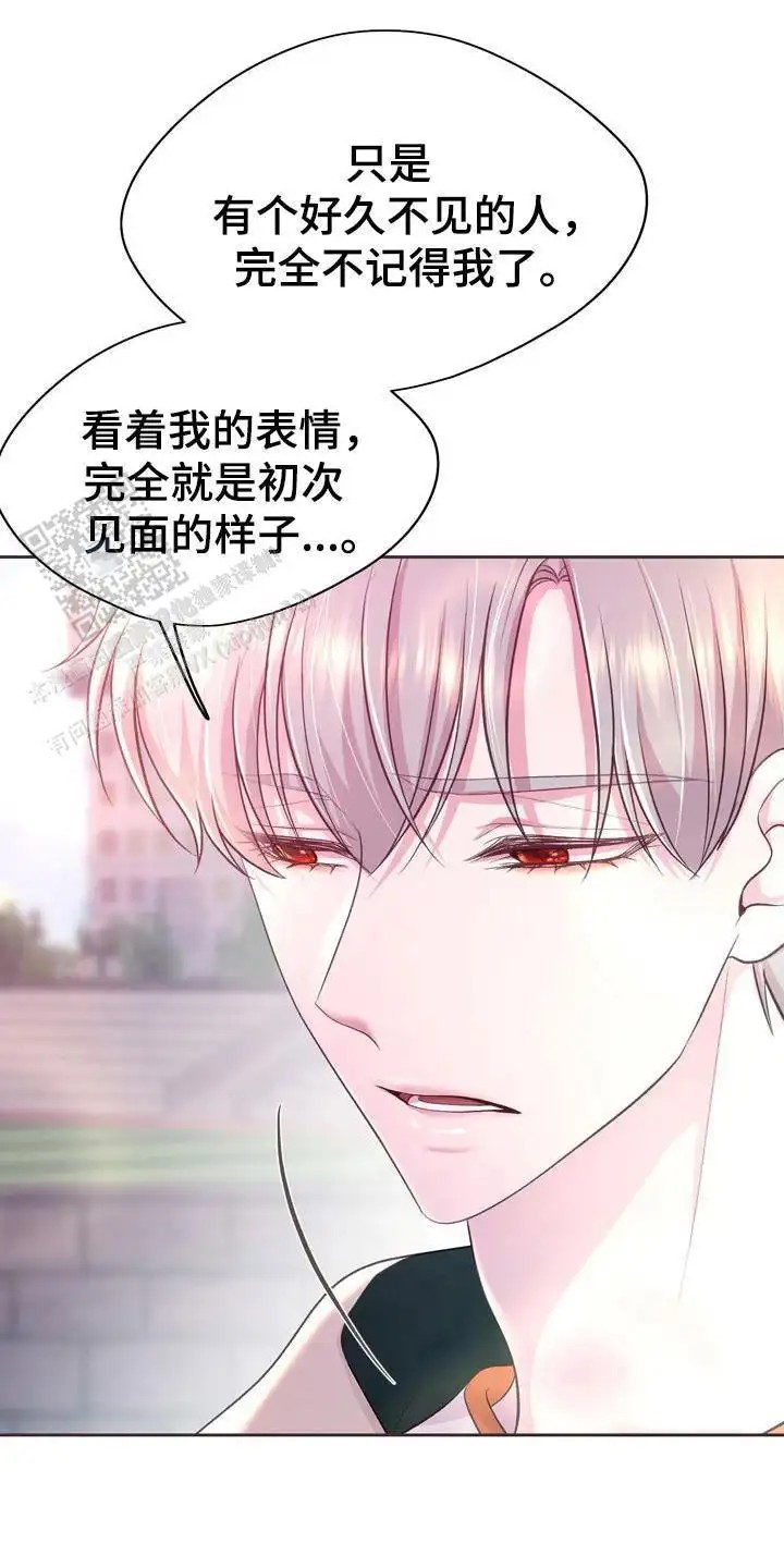 命运伴侣 - 好奇 - 第24页